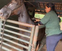 WhatsApp-Image-2021-03-01-at-16.53.09