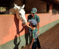 Atendimentos e atividades mês de  Julho 2021