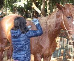 WhatsApp-Image-2022-01-03-at-13.17.39-1-Small