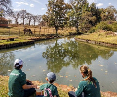 WhatsApp-Image-2022-01-03-at-13.17.40-1-Small