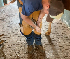 WhatsApp-Image-2022-01-03-at-13.17.41-1-Small