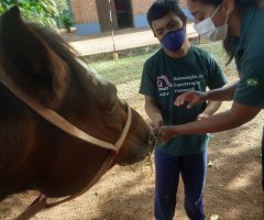 WhatsApp-Image-2021-06-07-at-15.29.05