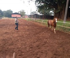 WhatsApp-Image-2021-06-10-at-14.03.12-1