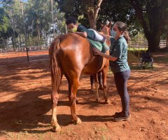 WhatsApp-Image-2021-06-15-at-14.22.28-1