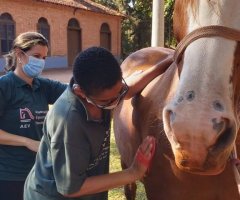 WhatsApp-Image-2021-06-24-at-15.05.26-1