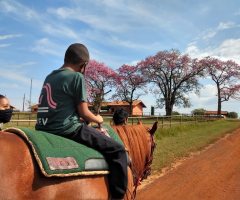 WhatsApp-Image-2021-04-30-at-11.42.57-4