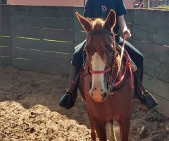 WhatsApp-Image-2021-05-05-at-11.42.56-2