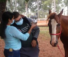 WhatsApp-Image-2021-05-13-at-13.31.51-1