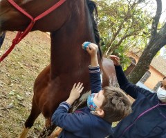 WhatsApp-Image-2021-05-25-at-14.05.36