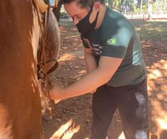 WhatsApp-Image-2021-05-26-at-10.56.02