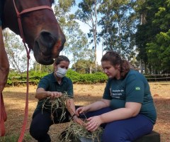 WhatsApp-Image-2021-05-27-at-16.38.13-2