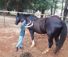 WhatsApp-Image-2021-05-28-at-14.08.55-2