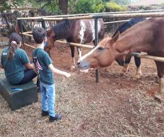 WhatsApp-Image-2021-05-28-at-14.08.57