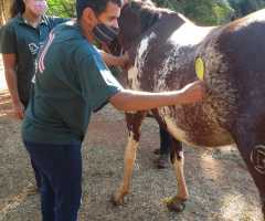 WhatsApp-Image-2021-06-07-at-15.26.16