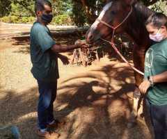 WhatsApp-Image-2021-06-07-at-15.26.17