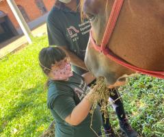 WhatsApp-Image-2021-06-07-at-16.59.15-1