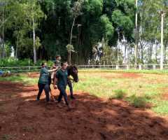 WhatsApp-Image-2021-06-07-at-16.59.38