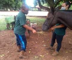 WhatsApp-Image-2021-06-07-at-16.59.39