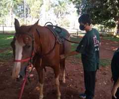 WhatsApp-Image-2021-06-07-at-16.59.40-1