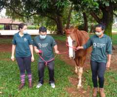 WhatsApp-Image-2021-06-07-at-16.59.42