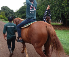 WhatsApp-Image-2021-06-07-at-16.59.45