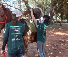 20220802_135151-Pequeno