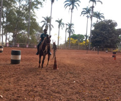 20220803_141329-Pequeno