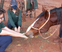 20220803_154508-Pequeno