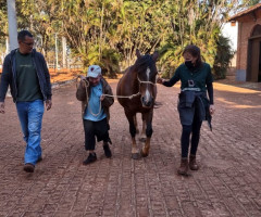 IMG-20220802-WA0003-Pequeno