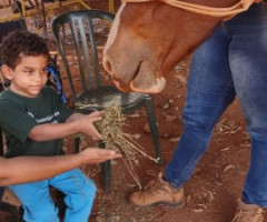 IMG-20220804-WA0052-Pequeno