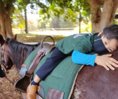 IMG-20220809-WA0008-Pequeno