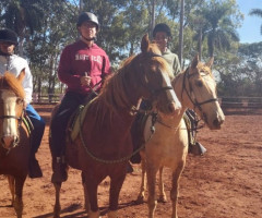 IMG-20220811-WA0014-Pequeno