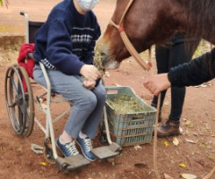 IMG-20220812-WA0036-Pequeno