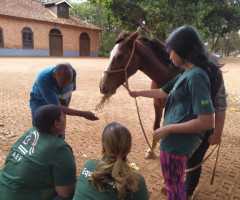 IMG-20220818-WA0012-Pequeno