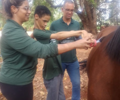 Atividades e Atendimento mês de novembro 2022 