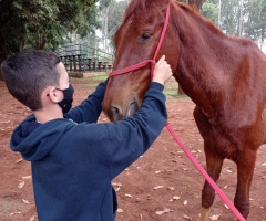 IMG-20221005-WA0023-Personalizado