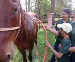 IMG-20221014-WA0058-Personalizado