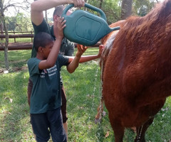 IMG-20221014-WA0062-Personalizado