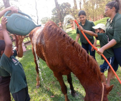 IMG-20221014-WA0065-Personalizado