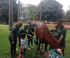 IMG-20221014-WA0075-Personalizado