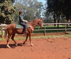 IMG-20221024-WA0024-Personalizado