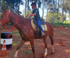 IMG-20221026-WA0118-Personalizado