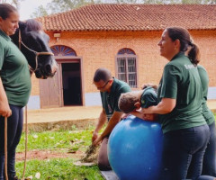 IMG-20221028-WA0015-Personalizado