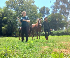 20221107_103517-Personalizado