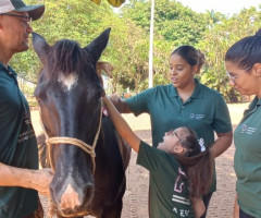 20221110_103403-Personalizado