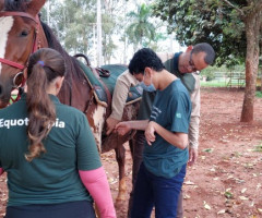 IMG-20221103-WA0020-Personalizado