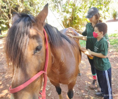 IMG-20221107-WA0036-Personalizado