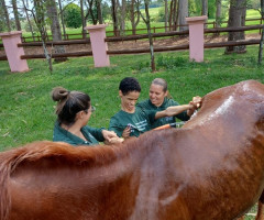 IMG-20221107-WA0067-Personalizado