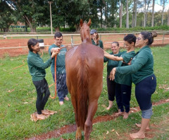 IMG-20221107-WA0072-Personalizado