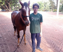 IMG-20221109-WA0005-Personalizado